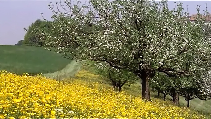 Un Film Completo Di Giovani Ragazze Che Esplorano La Loro Sessualità